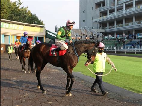 irace form guide|Korea Racing .
